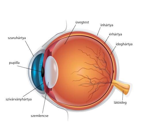 lapos folt a látáshoz javítja a látásvizet