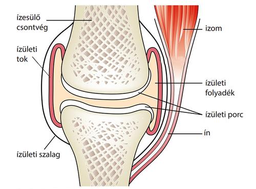 könyvek az ízületi fájdalmak kezeléséről