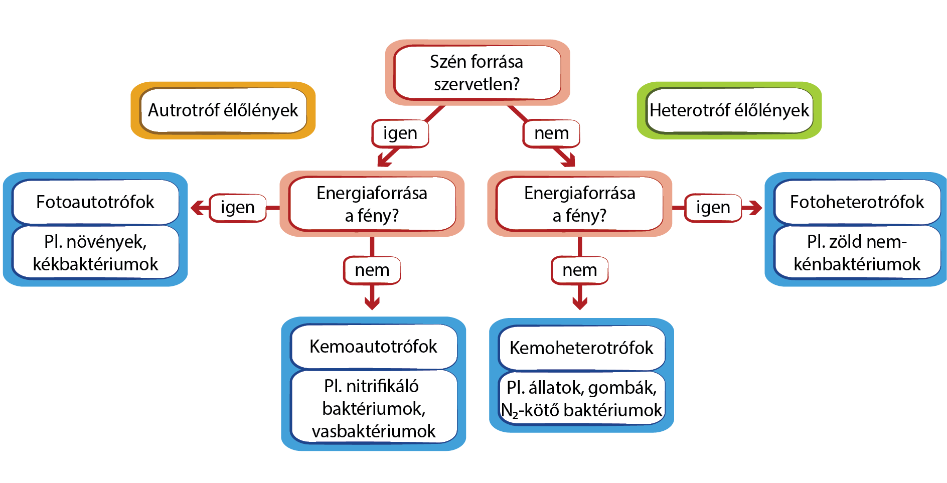 rektális rák szövettana