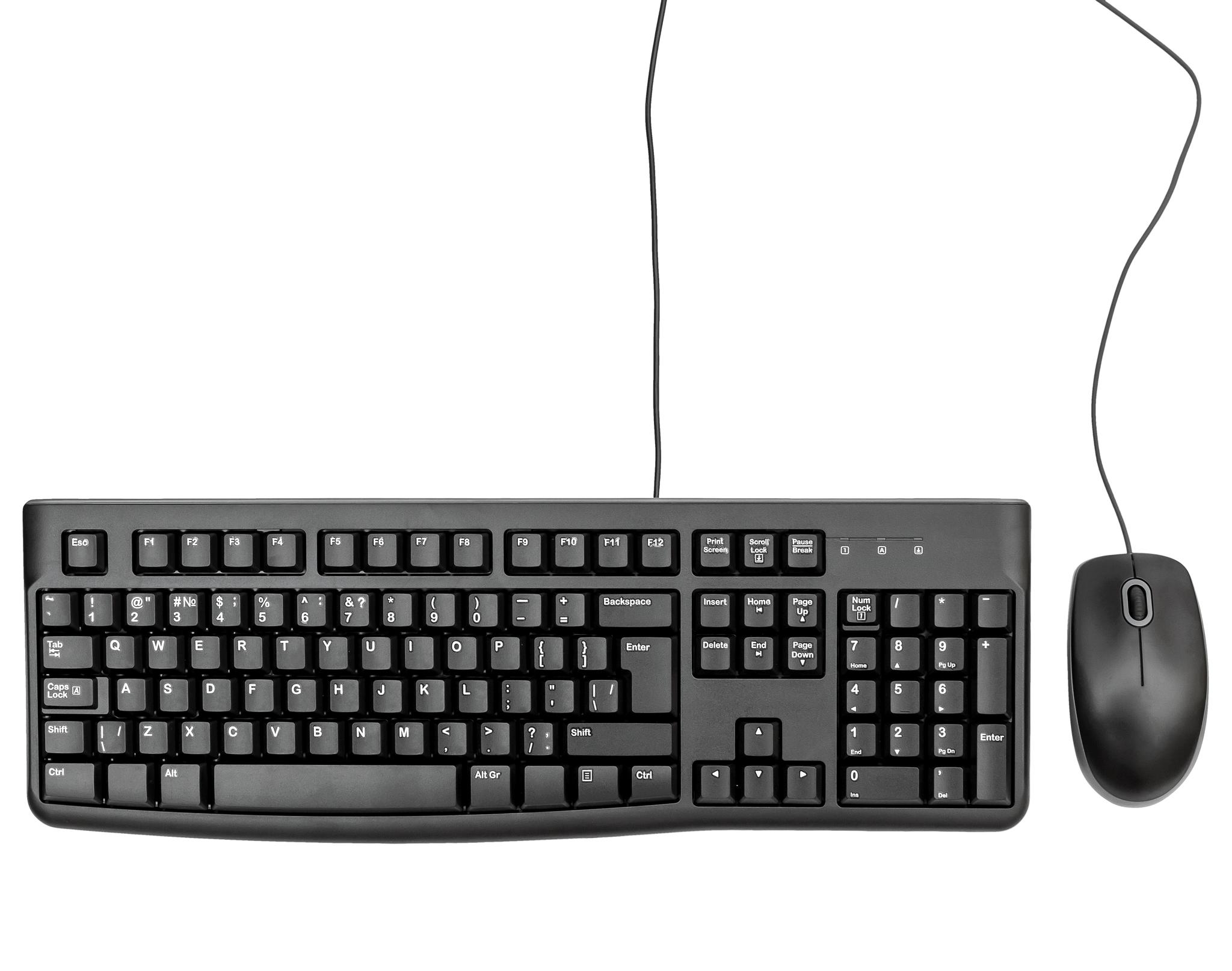 Input scroll